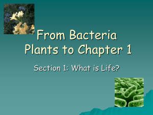6th Grade Science Ch. 1 From Bacteria to Plants