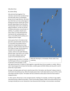 Flock-Nature-Notes
