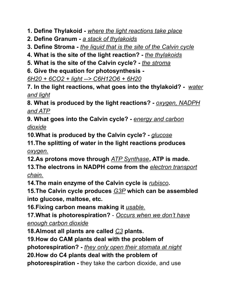 Bozeman Photosynthesis Worksheet