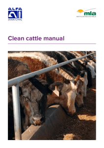 clean-cattle-manual-lr