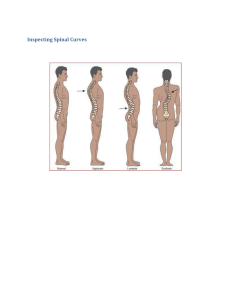 Inspecting Spinal Curves