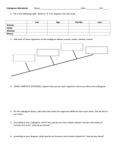 10. Cladogram-Worksheet