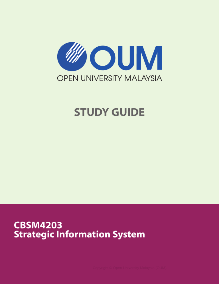 strategic information system assignment