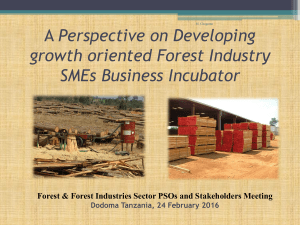 Wood Industries Incubation Tanzania