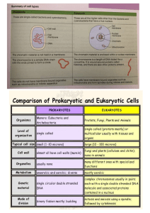 Comparing prokaryotic and eukarytic cells