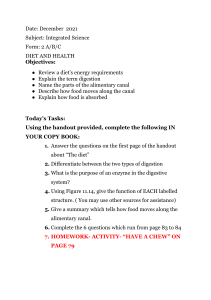 F2 Outline-Digestion- Diet and Health - Google Docs