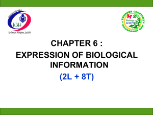 CHAPTER 6 EXPRESSION OF BIOLOGICAL INFORMATION SB015 2