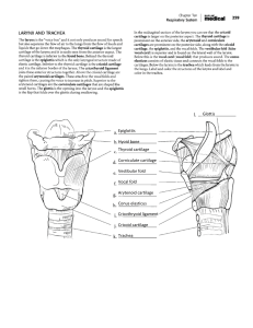 Unit 4 Worksheet 1 Rodriguez Kristian Paolo