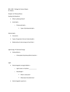 CH10 Notes