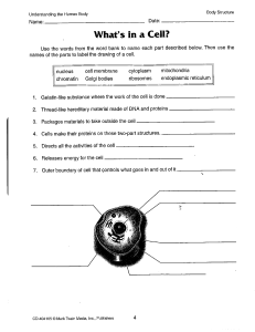 What's in A Cell worksheet