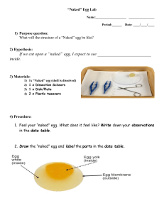 Naked Egg Dissection ELD3 - 2021-2022