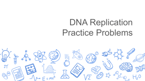 DNA Replication Dry Erase Board Problems-2