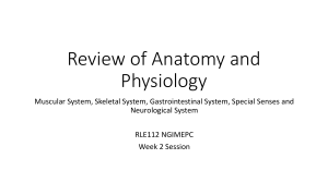 Review of Anatomy and Physiology (1)