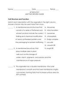 unit two study guide