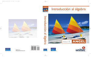 Libro de Introduccion al algebra pdf
