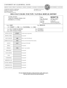 VGL Test Reports (1)