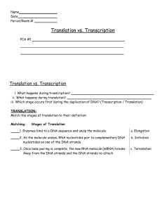 EvolutionTranslationandTranscriptionWorksheet-converted