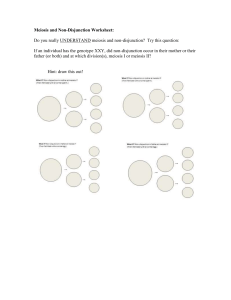 meiosis-and-non-disjunction-worksheet