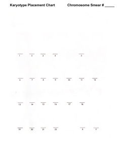 Karyotype Placement Chart