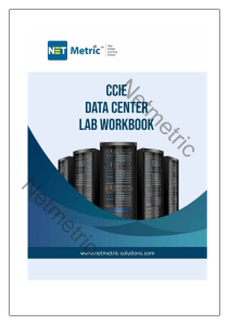 sample-netmetric-CCIE-data-center-v3-technology-lab-guide