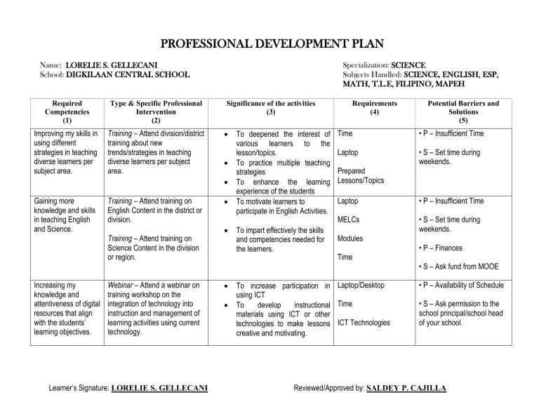 professional development plan assignment example