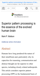 Superior pattern processing is the essence of the evolved human brain