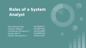 Roles of a System Analyst