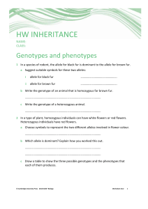 HW Genotype and phenotype