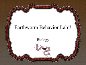 Earthworm Lab Activity 2