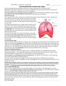 Respiratory System Reading Comprehension (2)