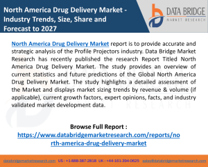 North America Drug Delivery Market 2020 Is Rapidly Increasing Worldwide  with Top Companies -MAICO Diagnostics GmbH, Intelligent Hearing Systems, Path Medical GmbH
