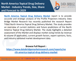 North America Topical Drug Delivery Market to Reflect Steady Growth Rate by 2022| Market Size, Market Trends, Market Report Analysis