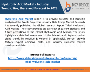 Hyaluronic Acid Market Size 2021 by Top Key Players, Types, Applications and Future Forecast to 2028
