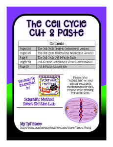 CellCycleandMitosisActivity