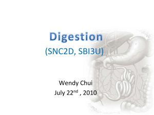 3.1 Inquiry based lesson on digestion