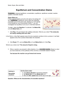 EquilibriumConcentrationGizmo.doc