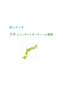 ECとアフィの指南書 当たり前のことしか書いてない