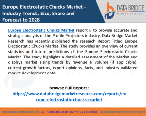 Europe Electrostatic Chucks Market Analysis Report –Share and Size, Future Trends and Growth Outlook, Sales & Revenue