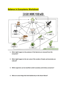 Balance in Ecosystems Worksheet