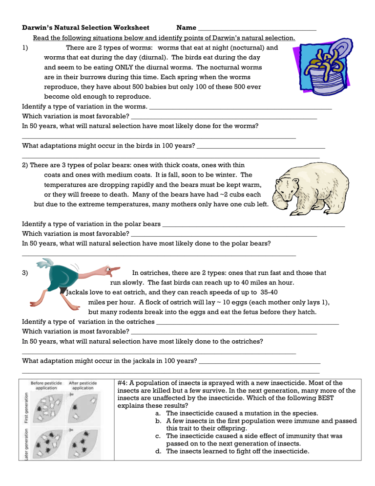 Darwin s Natural Selection Worksheet