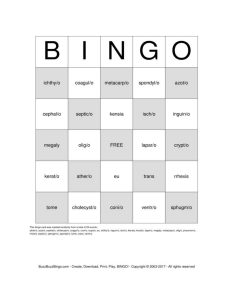 Bingo 1