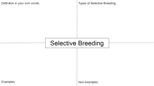 Selective Breeding notes page