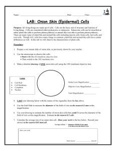 LAB Onion Cell 2022