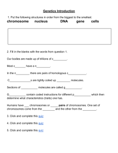 Genetics Introduction Worksheet