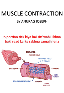 MUSCLE contraction