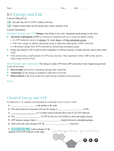 Photosynthesis Worksheets