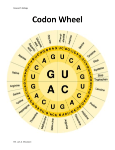 Codon Wheel