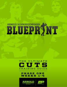 Arnold-blueprint-to-cut Phase-1