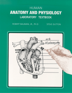 33690476-Human-Anatomy-and-Physiology-Laboratory-Textbook