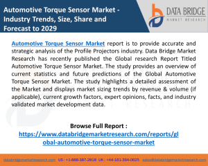 Automotive Torque Sensor Market